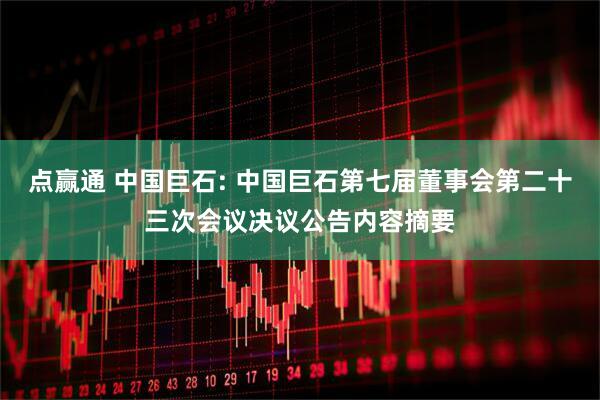 点赢通 中国巨石: 中国巨石第七届董事会第二十三次会议决议公告内容摘要