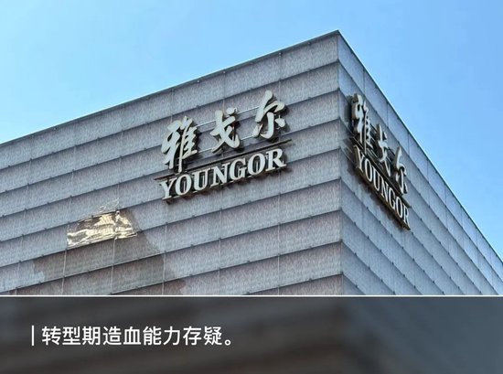 东程配资 砍完地产卖金融，雅戈尔拿什么再赚140亿？