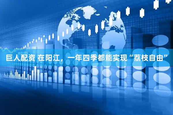 巨人配资 在阳江，一年四季都能实现“荔枝自由”
