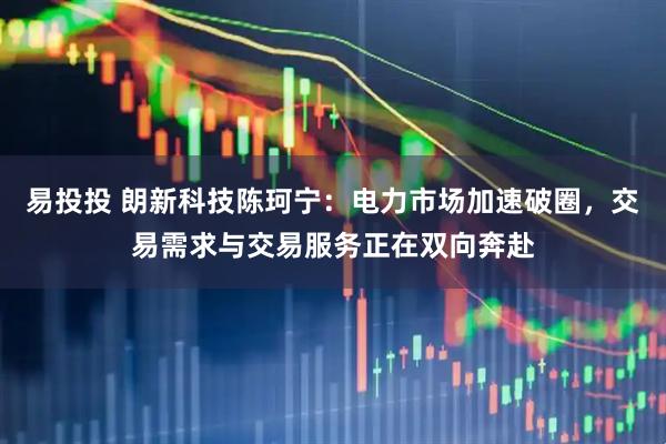 易投投 朗新科技陈珂宁：电力市场加速破圈，交易需求与交易服务正在双向奔赴