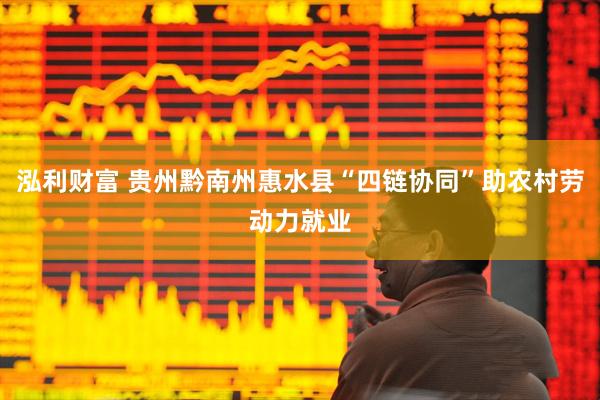 泓利财富 贵州黔南州惠水县“四链协同”助农村劳动力就业