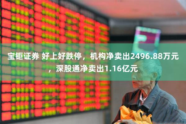 宝钜证券 好上好跌停，机构净卖出2496.88万元，深股通净卖出1.16亿元