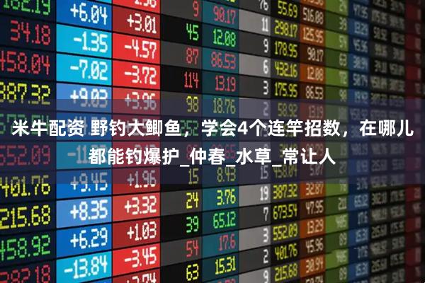 米牛配资 野钓大鲫鱼，学会4个连竿招数，在哪儿都能钓爆护_仲春_水草_常让人
