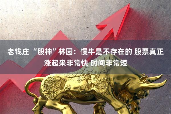 老钱庄 “股神”林园：慢牛是不存在的 股票真正涨起来非常快 时间非常短