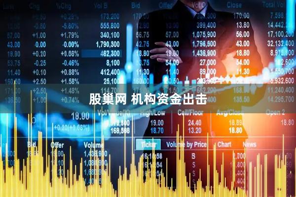 股巢网 机构资金出击