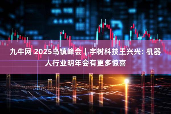九牛网 2025乌镇峰会丨宇树科技王兴兴: 机器人行业明年会有更多惊喜